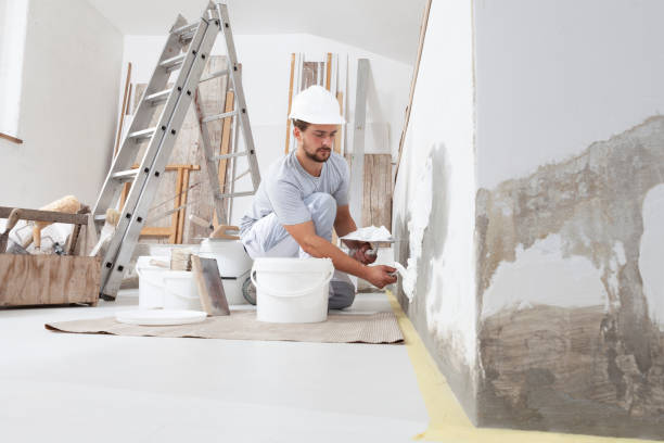 Best Attic Mold Removal  in Bromley, KY