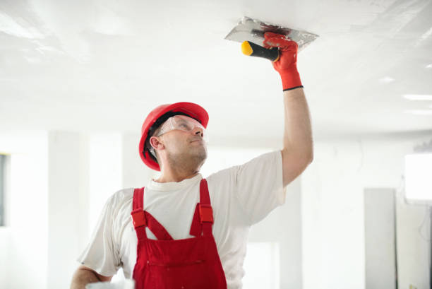Best Mold Damage Restoration  in Bromley, KY
