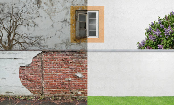 Best Industrial Mold Remediation  in Bromley, KY