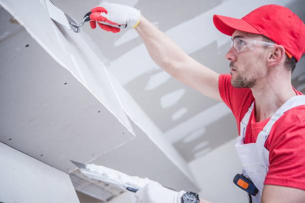 Best Emergency Mold Remediation  in Bromley, KY